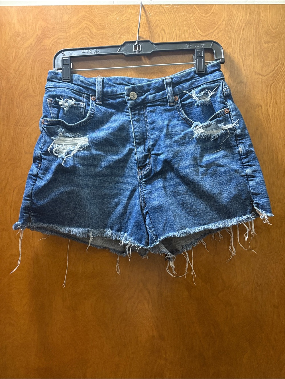 American Eagle Outfitters Distressed Blue Denim Shorts